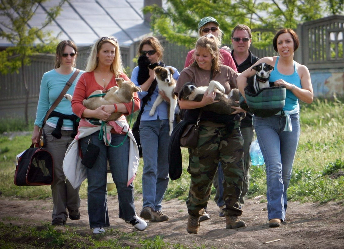 The Astray volunteers in Romania